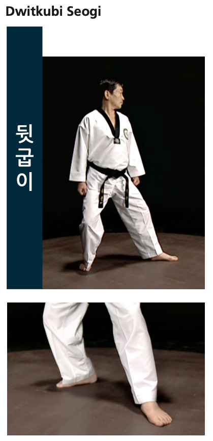 Ficha tecnica de posiciones - pagina 21