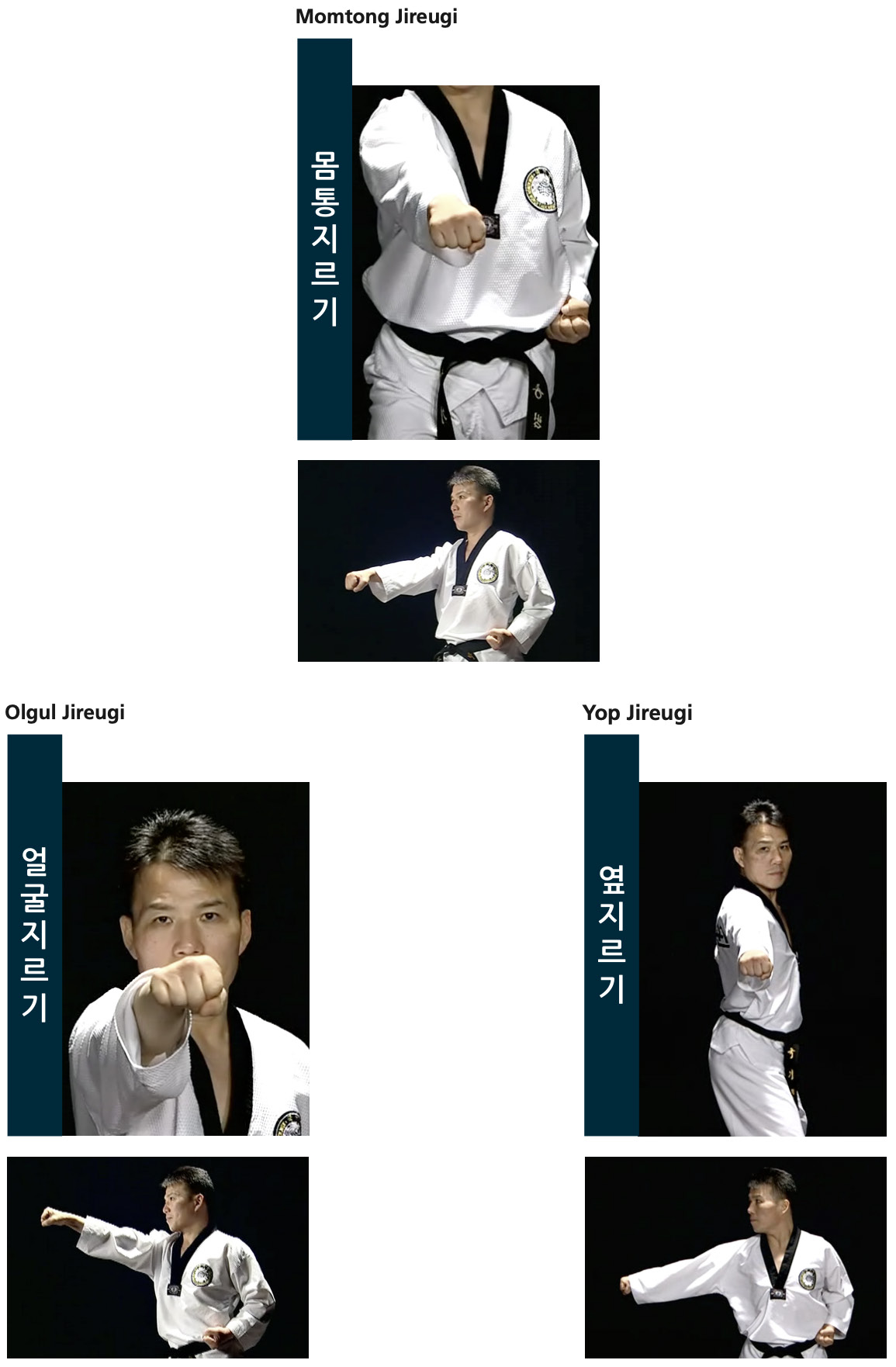 Ficha tecnica de posiciones - pagina 30