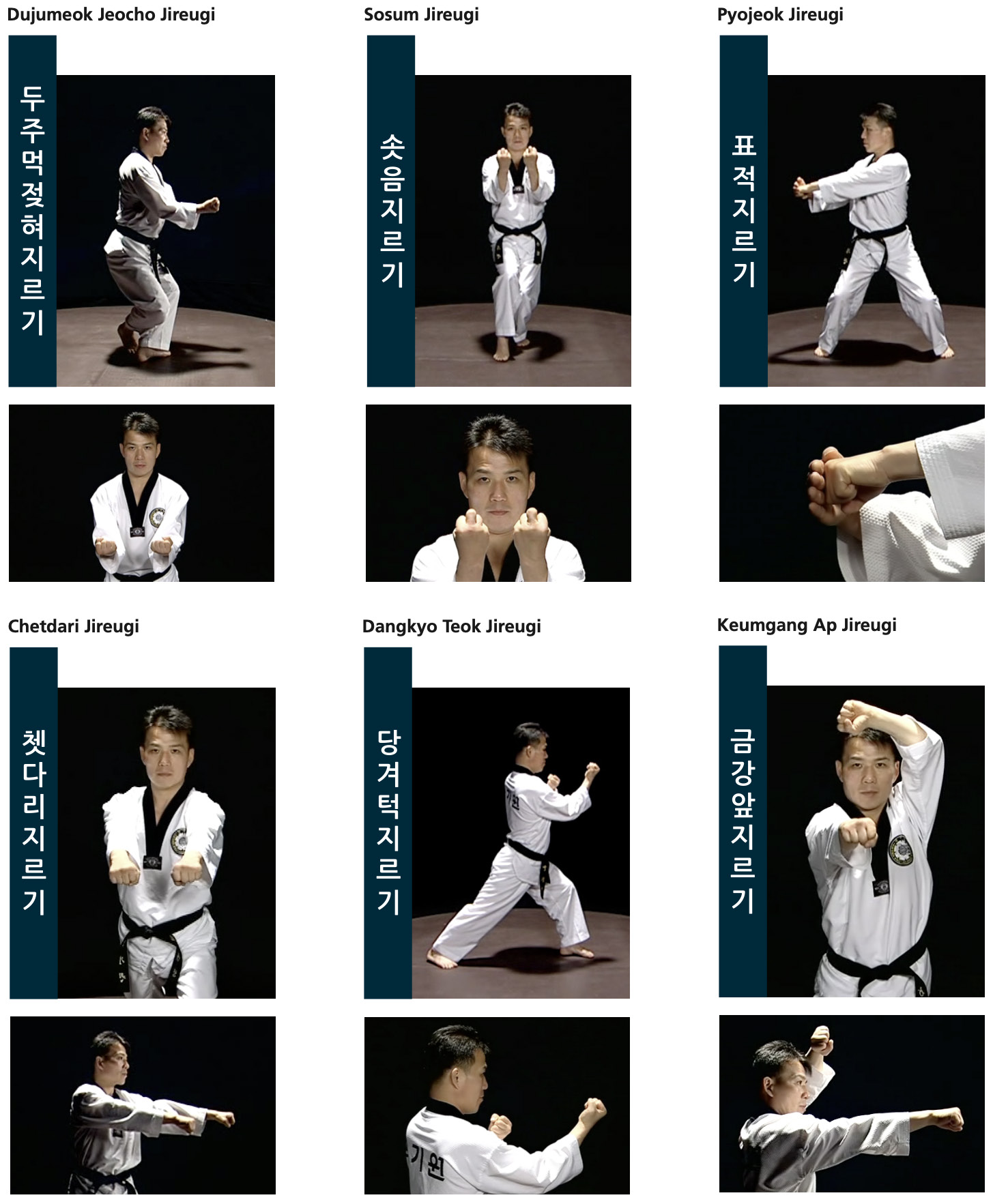 Ficha tecnica de posiciones - pagina 31