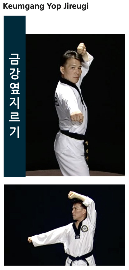 Ficha tecnica de posiciones - pagina 32