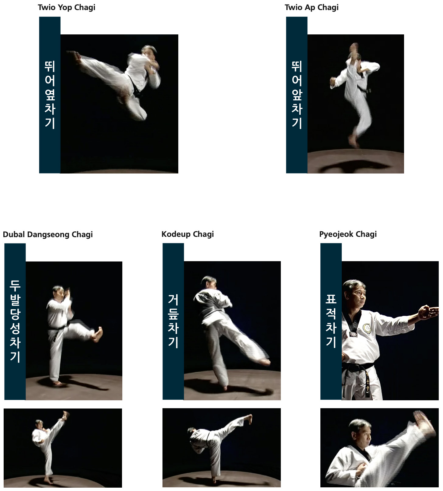 Ficha tecnica de posiciones - pagina 39