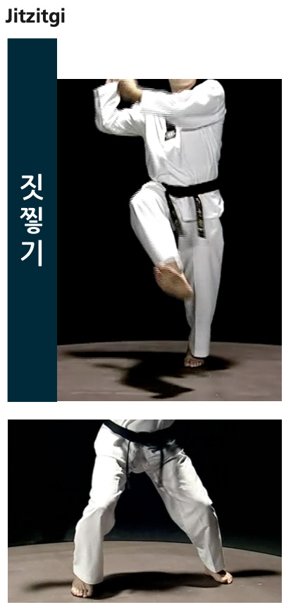 Ficha tecnica de posiciones - pagina 40